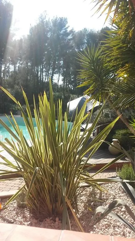 La Maison Du Castellet Le Castellet  Bed & Breakfast